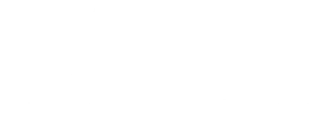 Laus Informatica logo